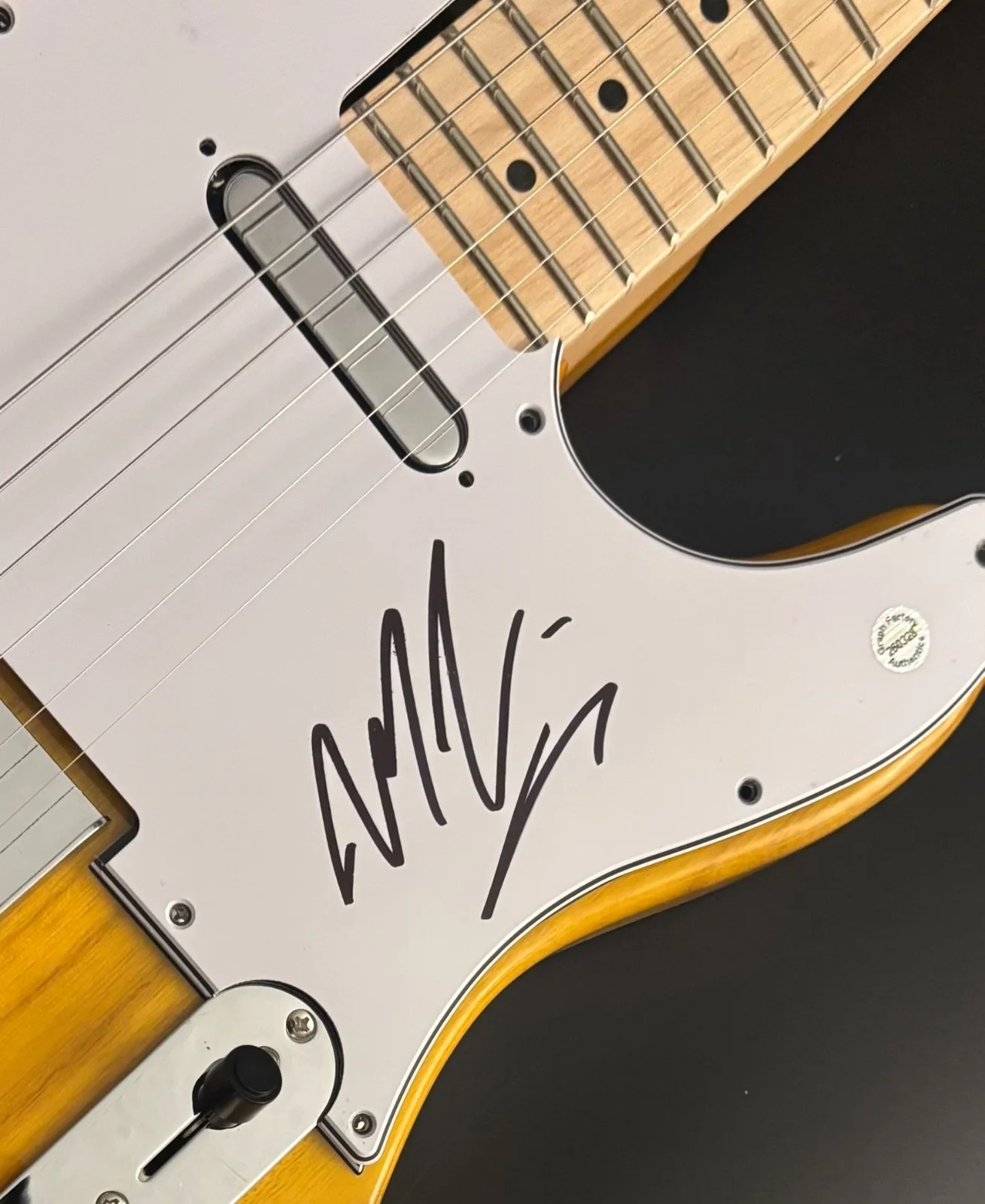 GFA Wildflowers & Wine Star * MARCUS KING * Signed Electric Guitar COA, изображение 5