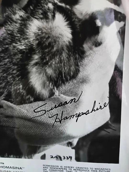 Signed 8x10 inch Original Press Photo Susan Hampshire Three Lives of Thomasina, изображение 2
