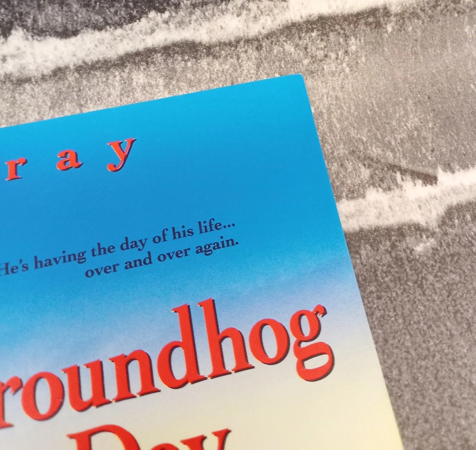 Groundhog Day Promotional Card Synopsis Cast & Crew Movie Film Poster Y728, изображение 5