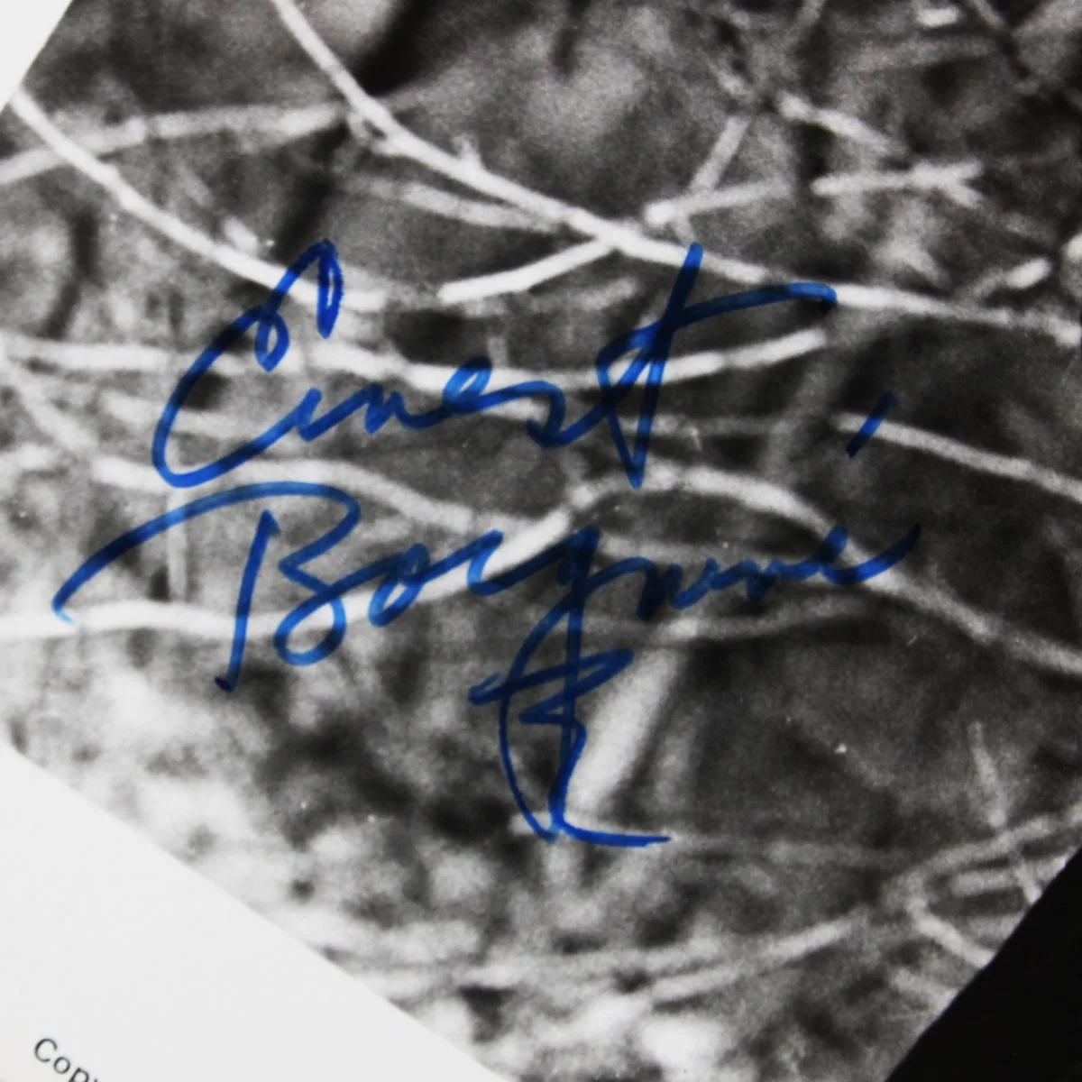 Ernest Borgnine Signed B/W 8×10 Photo Autograph JSA Certified, image 2
