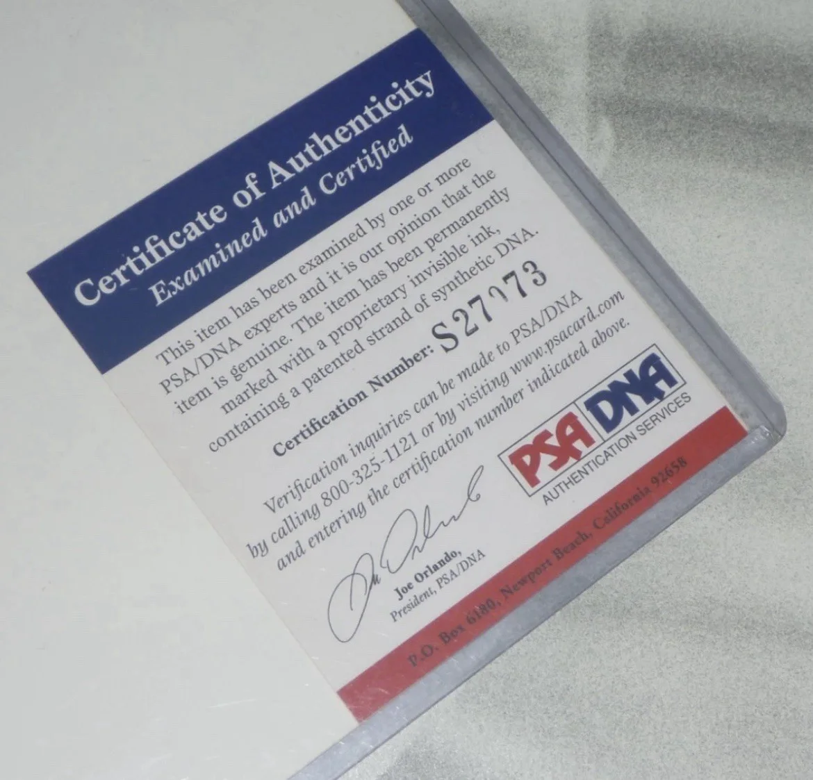 JAKE GYLLENHAAL Leaf Signed 8x10 Photo Edition PSA DNA Autograph, image 2
