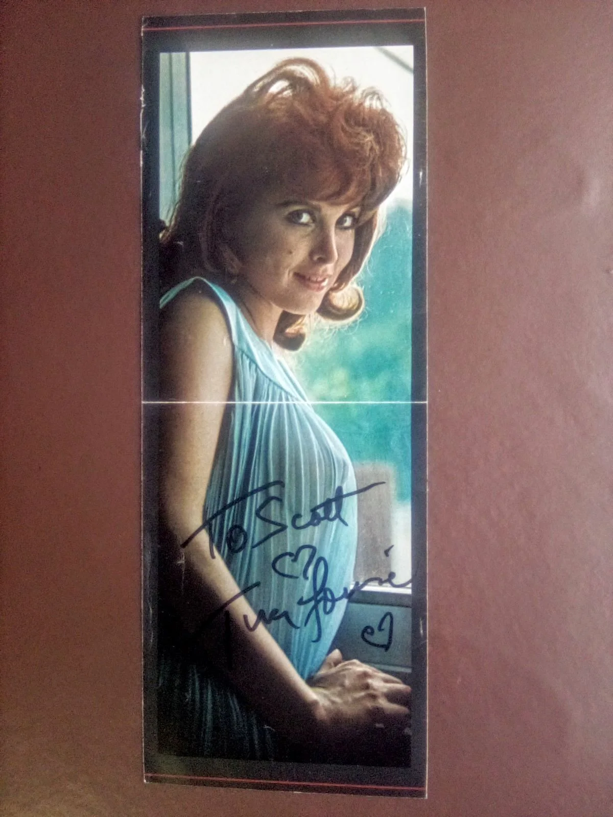 Tina Louise — Tina Louise Signed Autographed Playboy Magazine Photo 11x4 Gilligan's Island COA