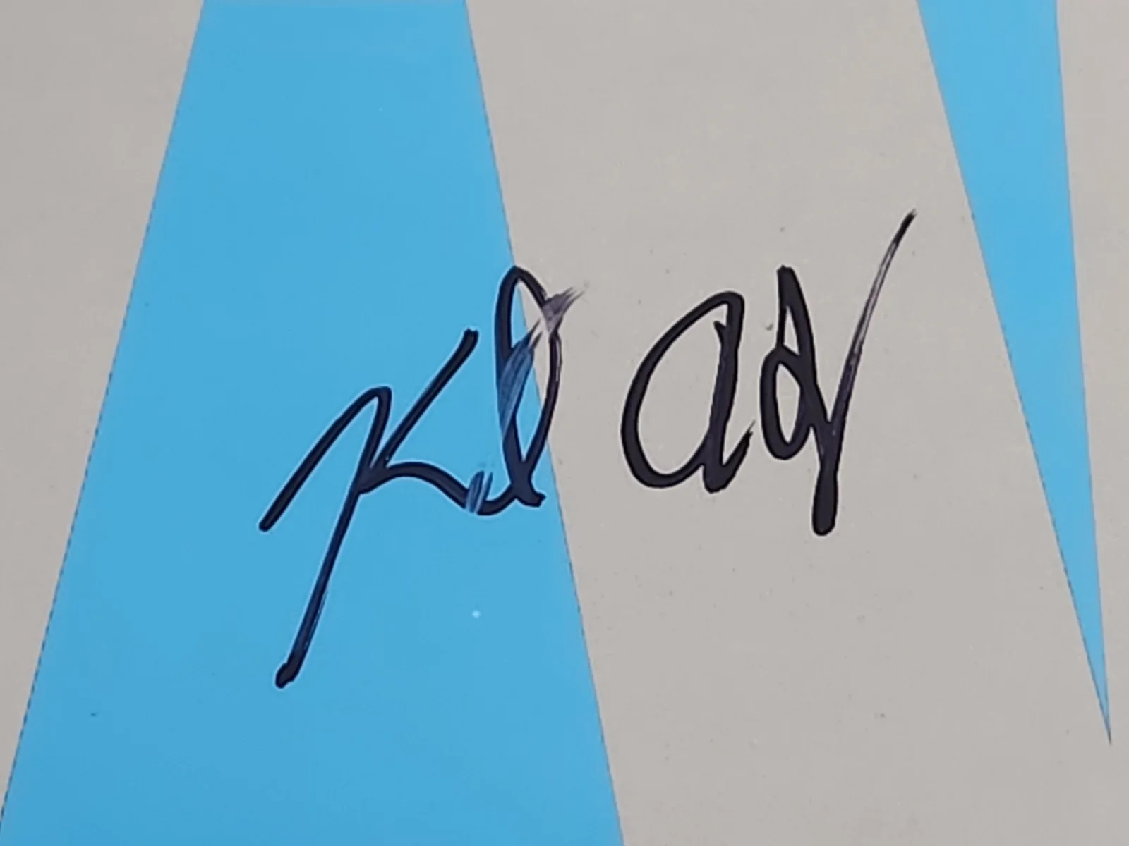Descendents Autographed All Vinyl LP, image 5
