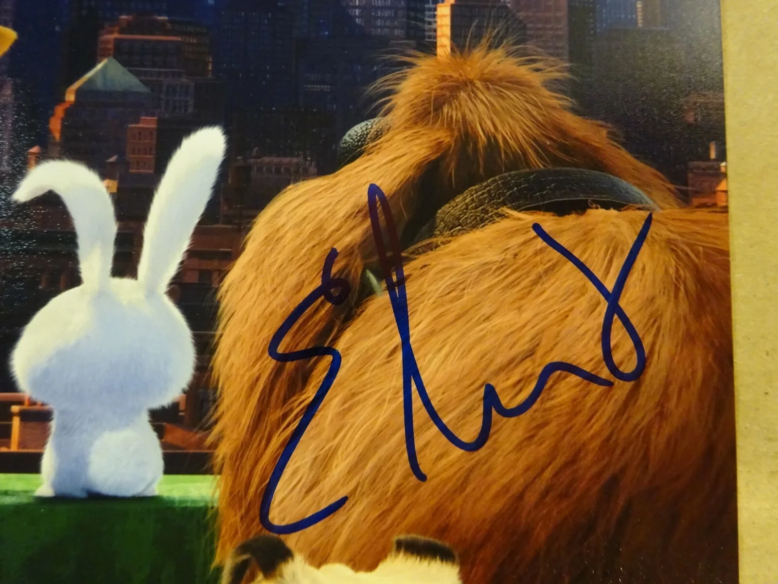 Dana Carvey, Eric Stonestreet — Signed STONESTREET CARVEY Autographed SECRET LIFE OF PETS 12"x18" Photo BAS COA, изображение 5