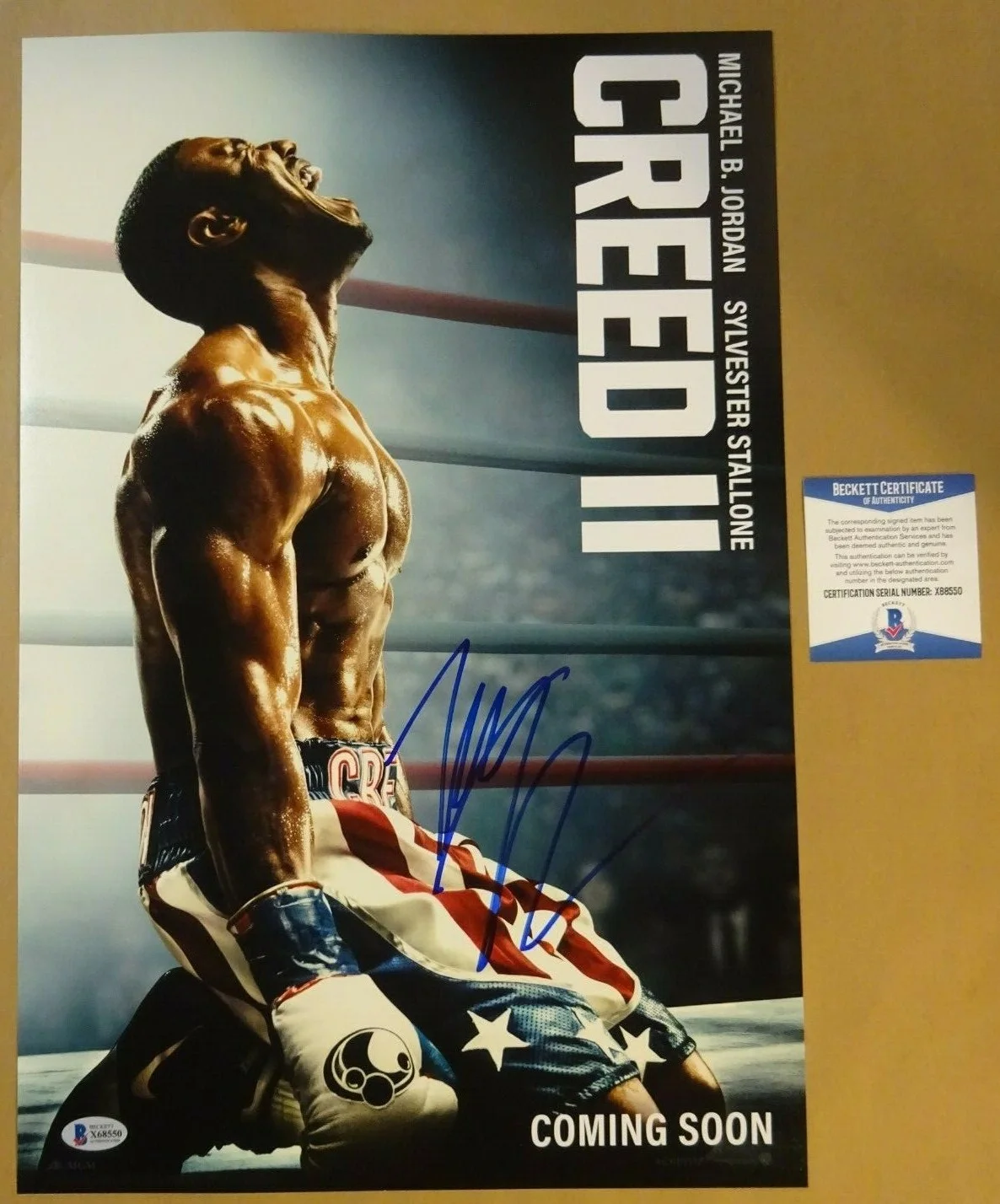 Tessa Thompson — Signed TESSA THOMPSON Autographed - CREED II 12"x18" Photo BECKETT BAS COA