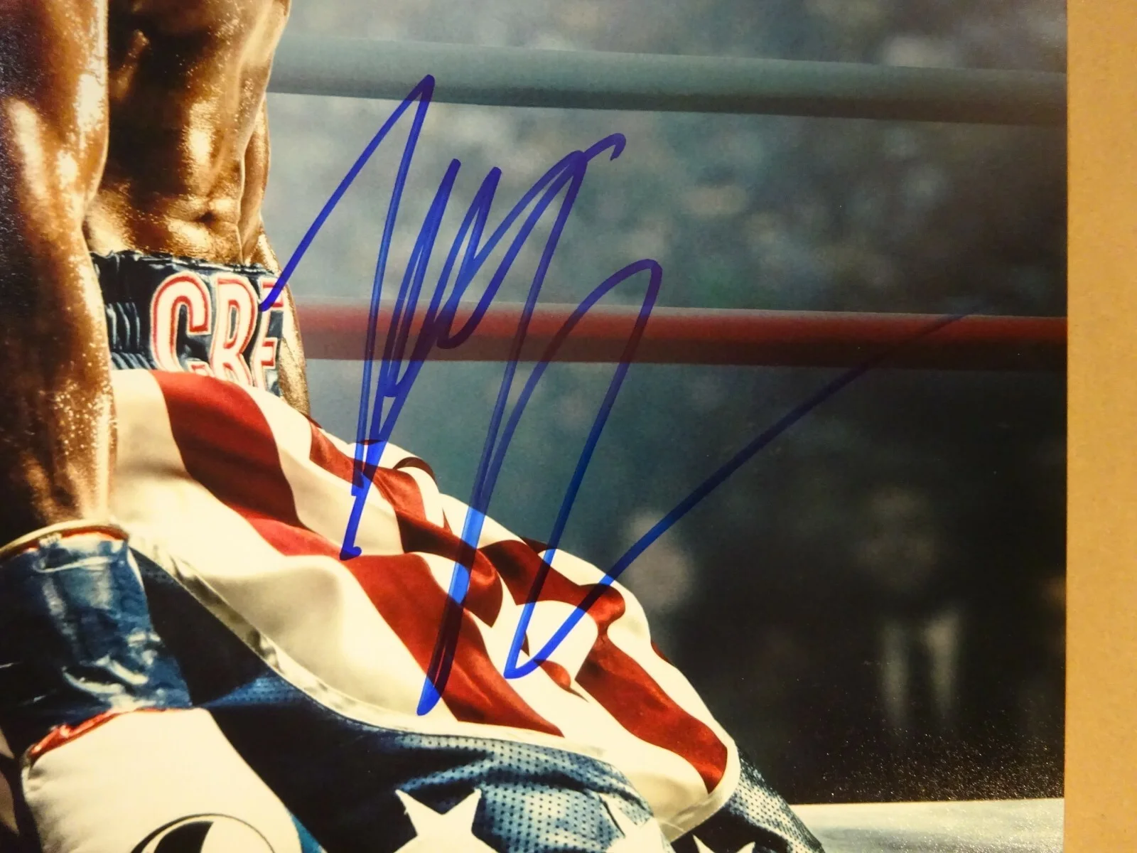 Tessa Thompson — Signed TESSA THOMPSON Autographed - CREED II 12"x18" Photo BECKETT BAS COA, image 3