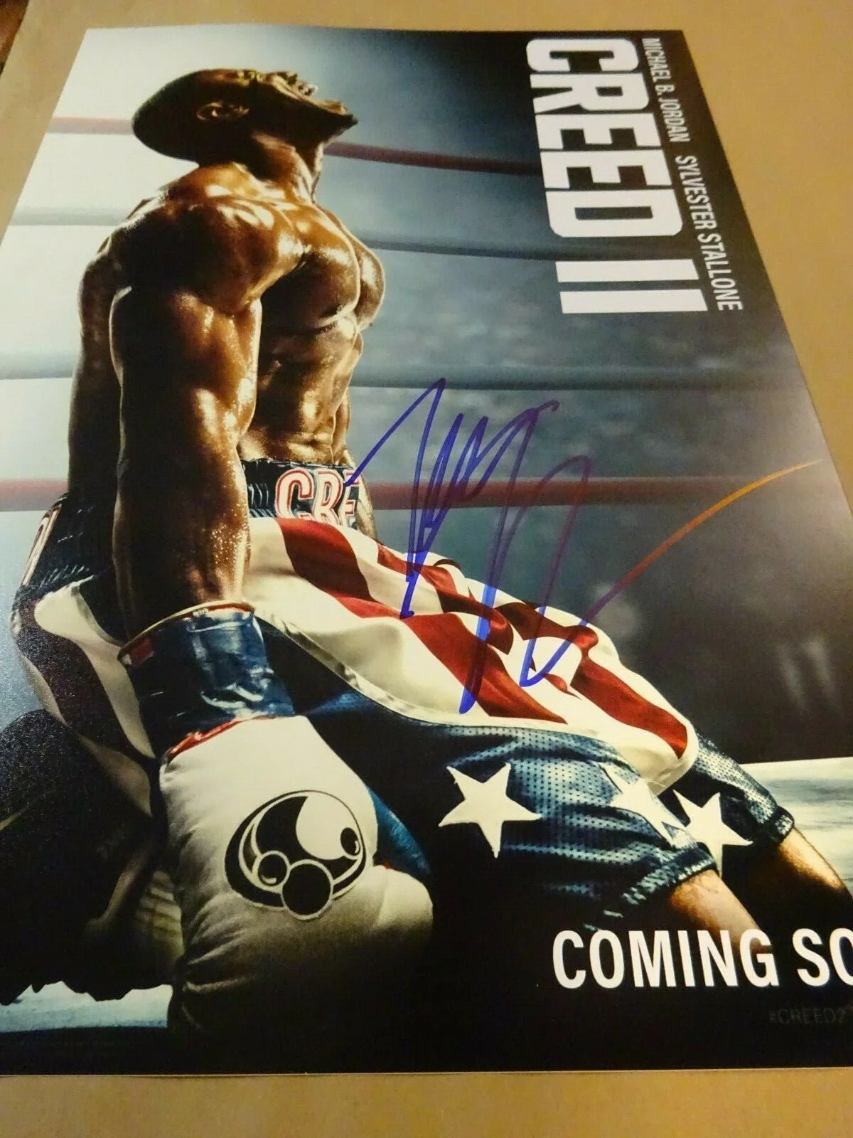 Tessa Thompson — Signed TESSA THOMPSON Autographed - CREED II 12"x18" Photo BECKETT BAS COA, image 4