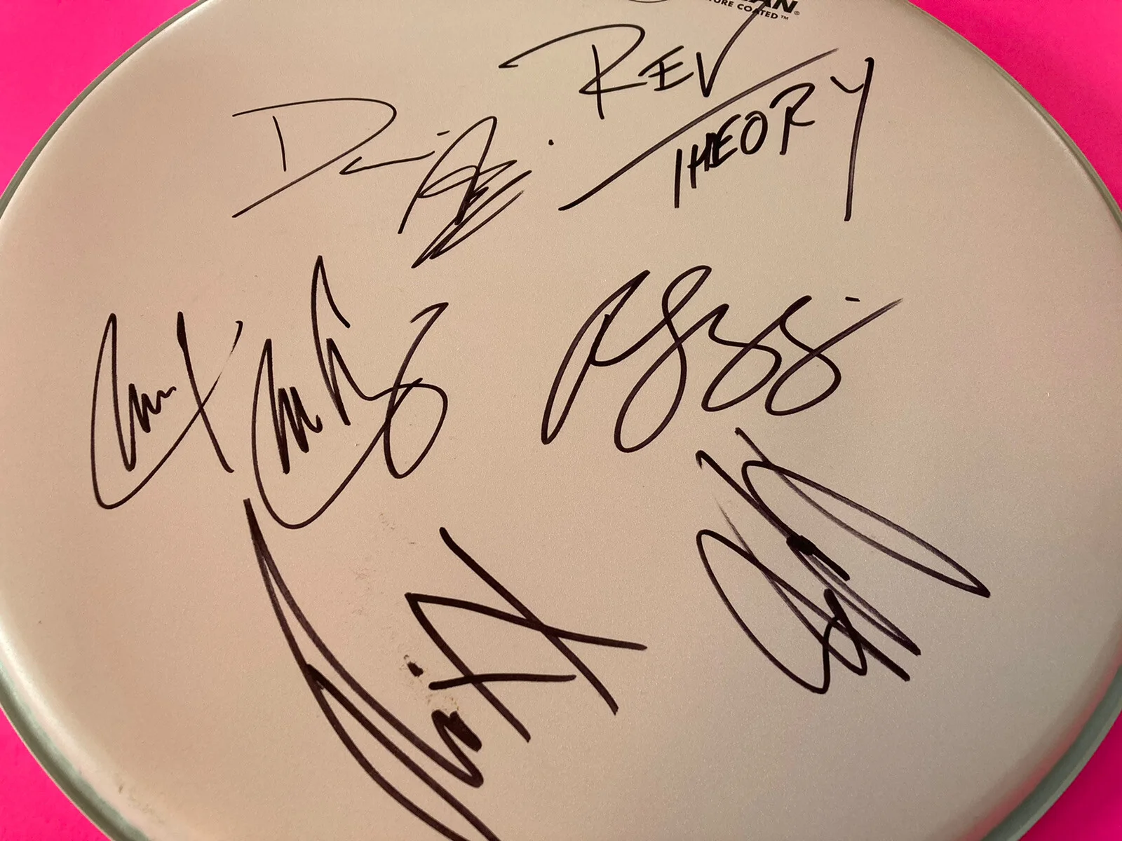 REV THEORY x5 ENTIRE BAND SIGNED AUTOGRAPHED DRUMHEAD *PROOF*, image 3