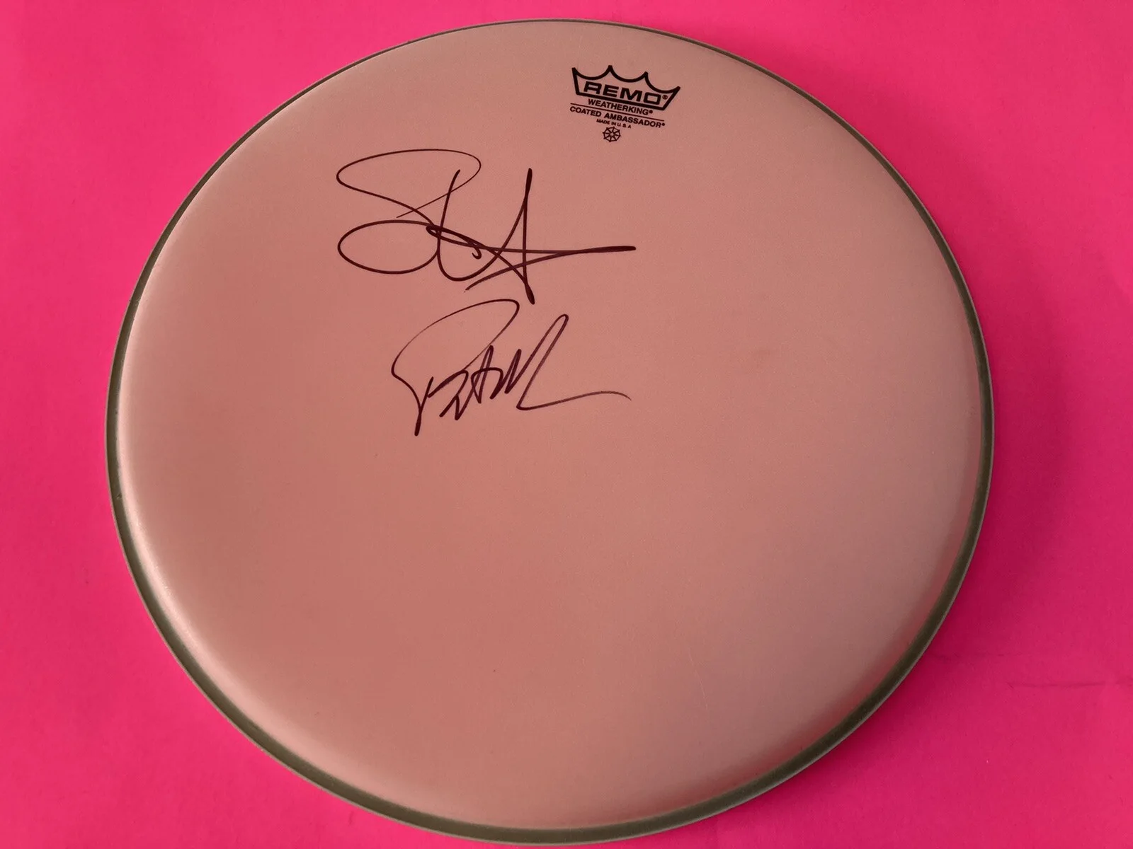 TRAIN x2 PAT MONAHAN SCOTT UNDERWOOD SIGNED REMO DRUMHEAD #b *EXACT PROOF*, image 2