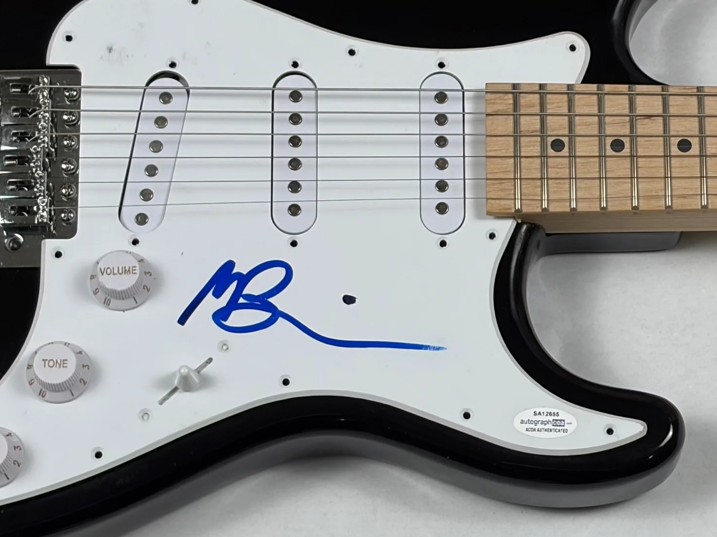 Matt Berninger The National Signed Autograph Electric Guitar Band Singer ACOA, image 4