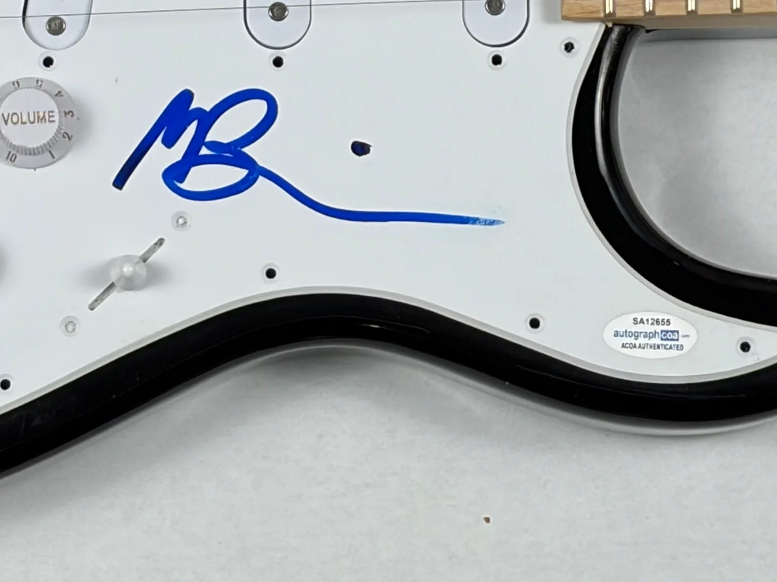 Matt Berninger The National Signed Autograph Electric Guitar Band Singer ACOA, image 5