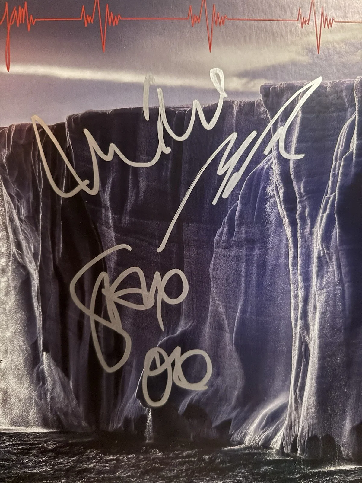 Pearl Jam Gigaton Vinyl LP Signed McCready Gossard Cameron Autographed, image 2