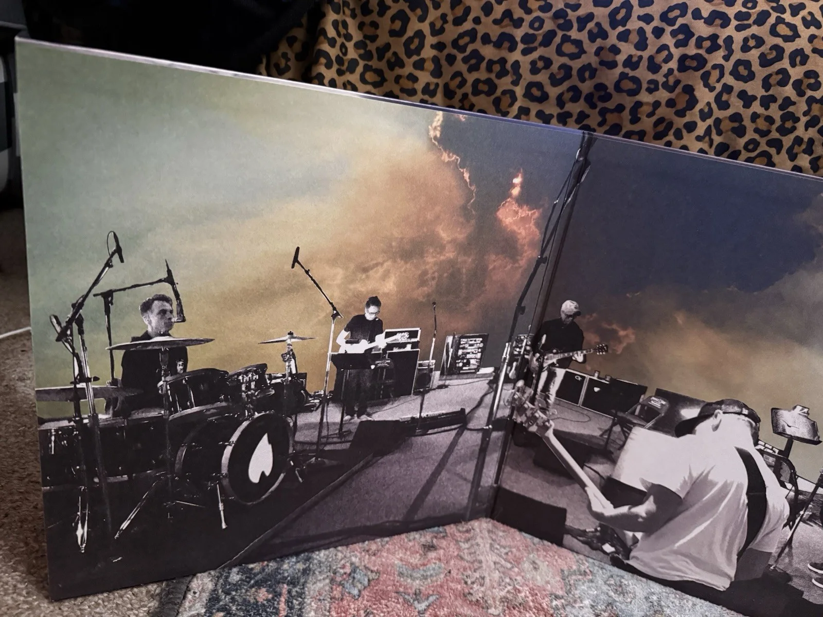 Pearl Jam Gigaton Vinyl LP Signed McCready Gossard Cameron Autographed, image 3