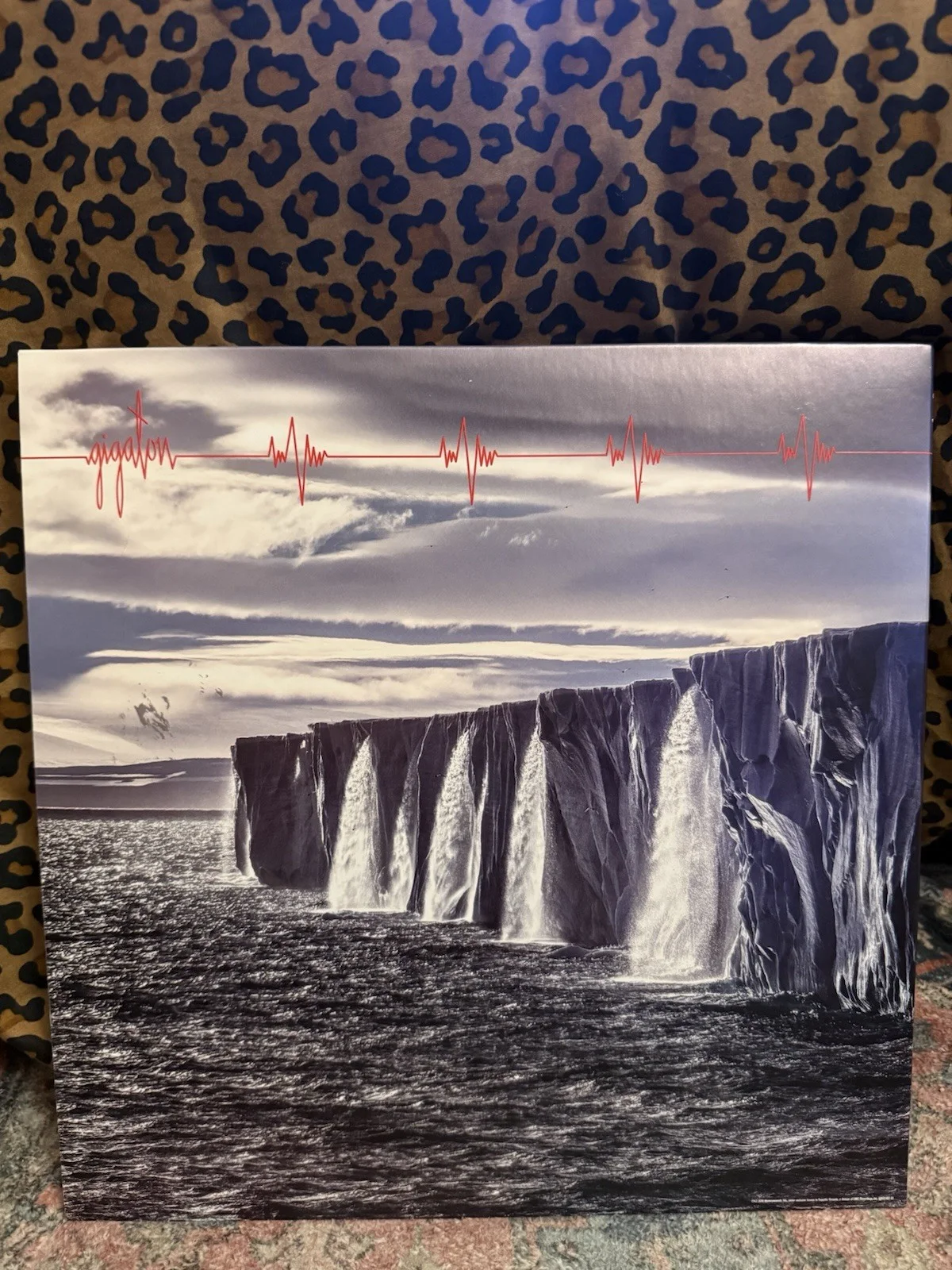 Pearl Jam Gigaton Vinyl LP Signed McCready Gossard Cameron Autographed, image 5