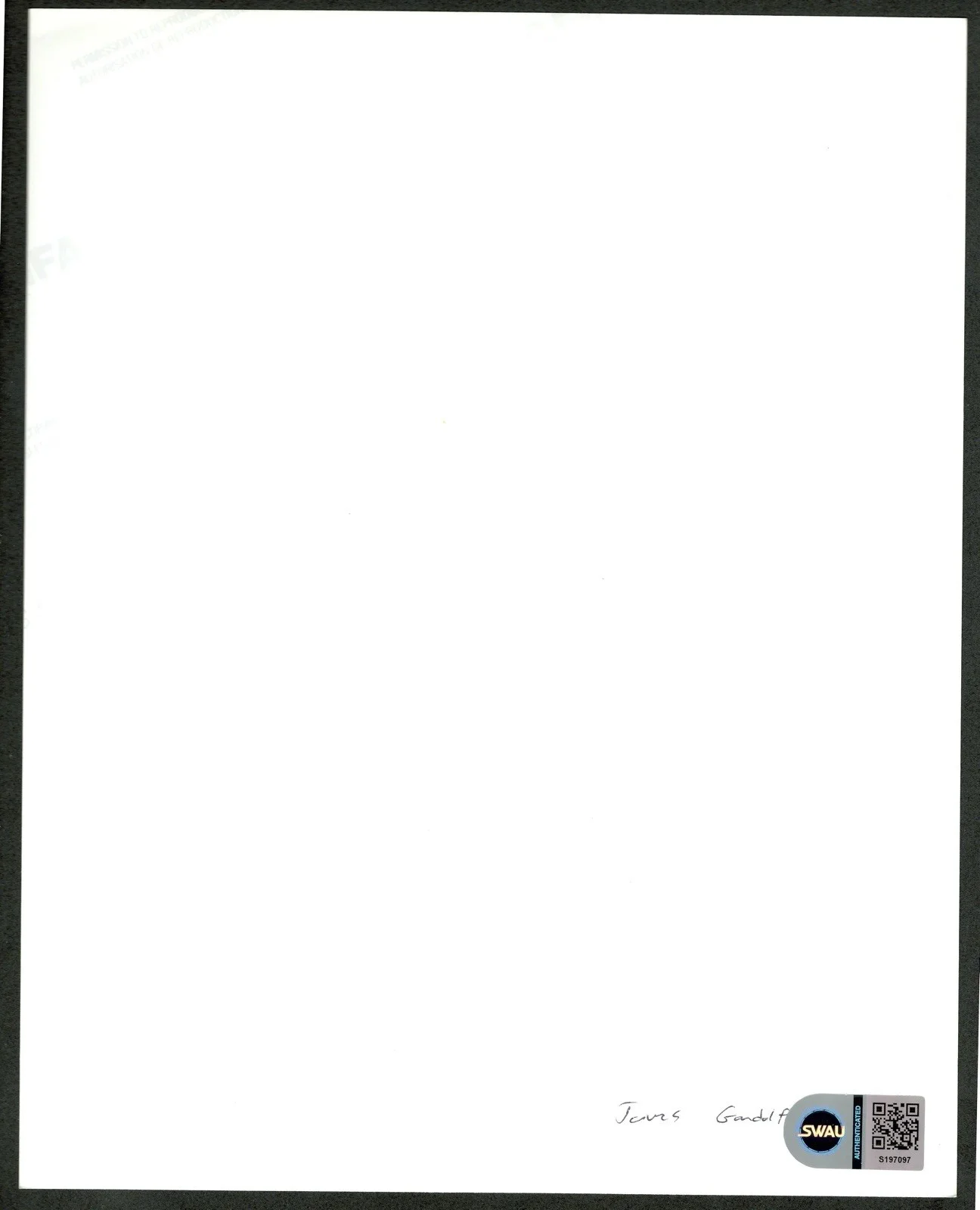 James Gandolfini Signed Autographed Sopranos 8x10 Photo SWAU Cert Tony Soprano, изображение 2
