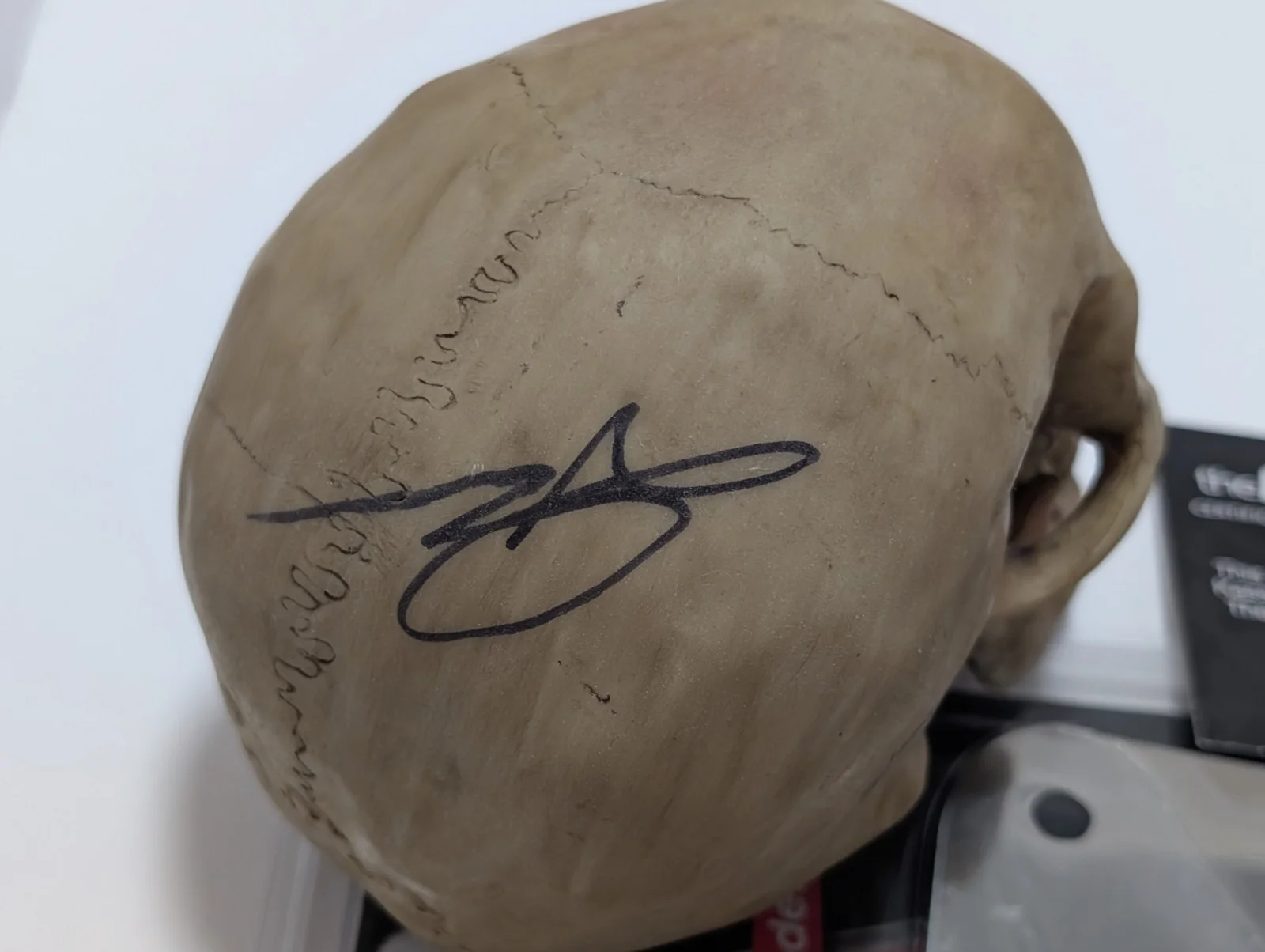 JOHN KASSIR — JOHN KASSIR SIGNED FULL SIZE MEAT CLEAVER AND MINI SKULL TALES FROM THE CRYPT, image 4