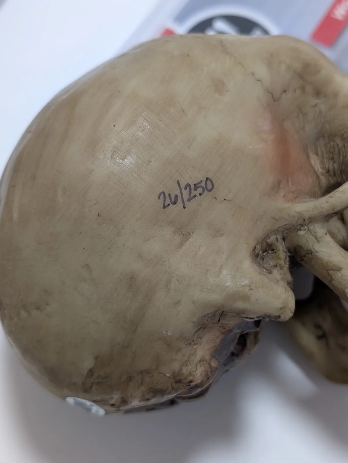 JOHN KASSIR — JOHN KASSIR SIGNED FULL SIZE MEAT CLEAVER AND MINI SKULL TALES FROM THE CRYPT, image 5