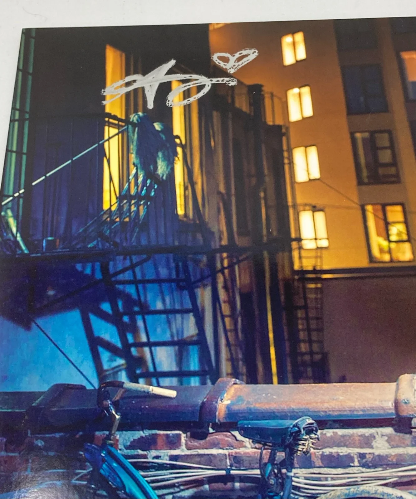Alynda Segarra signed Hurray For The Riff Raff The Navigator Album JSA COA, изображение 2