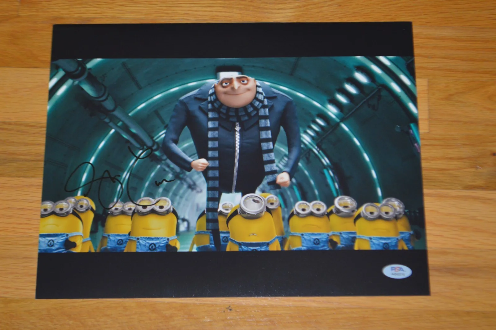 Steve Carell — Steve Carell Autographed 11x14 "Despicable Me" Photo with PSA/DNA Hologram