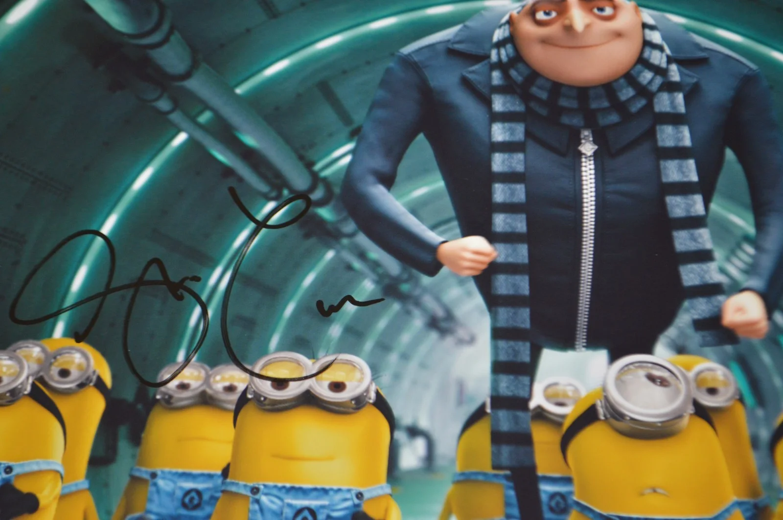 Steve Carell — Steve Carell Autographed 11x14 "Despicable Me" Photo with PSA/DNA Hologram, изображение 2