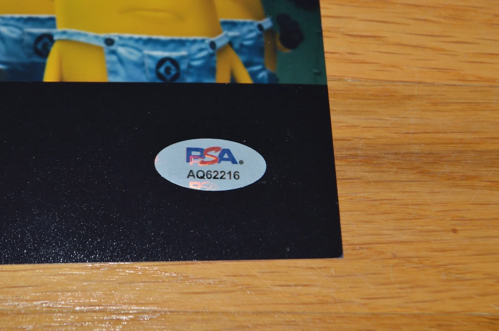 Steve Carell — Steve Carell Autographed 11x14 "Despicable Me" Photo with PSA/DNA Hologram, изображение 3