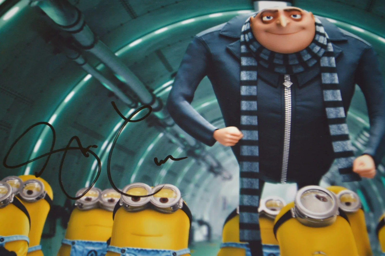 Steve Carell — Steve Carell Autographed 11x14 "Despicable Me" Photo with PSA/DNA Hologram, изображение 5