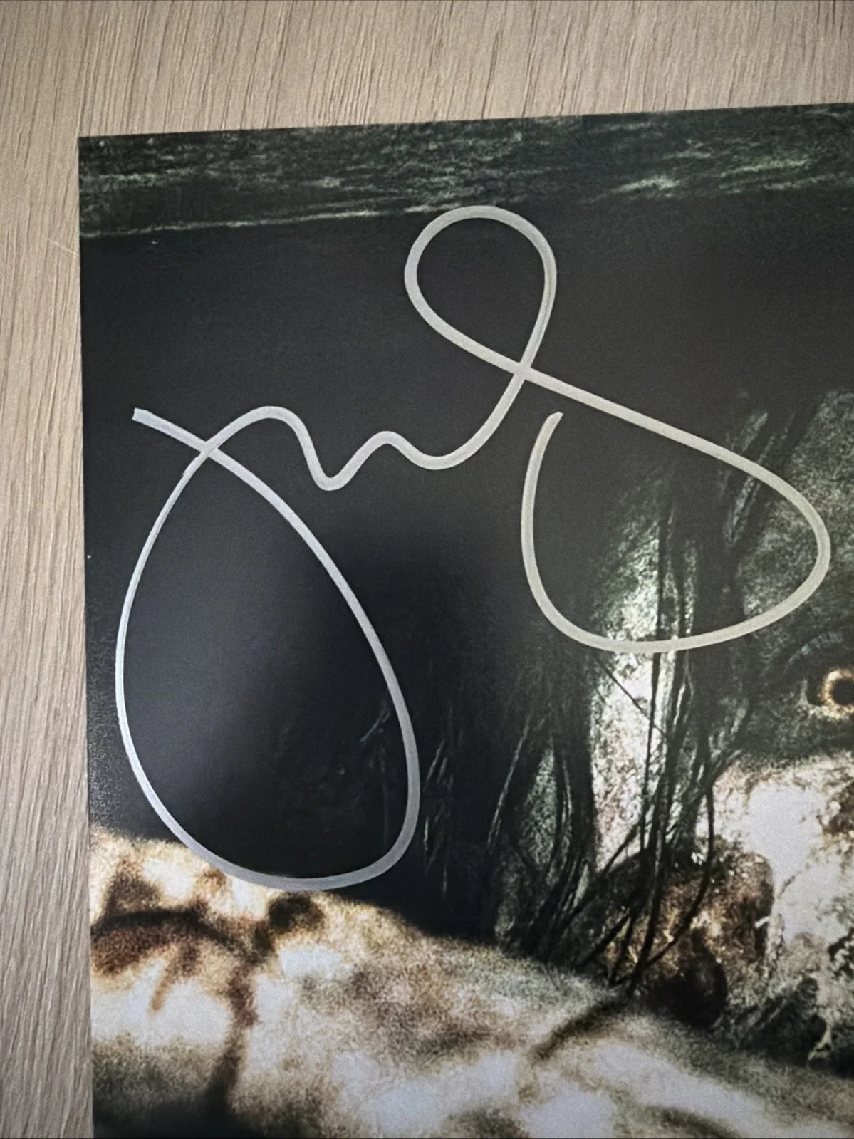 Jane Levy signed EVIL DEAD 8x10 JSA Authenticated Autograph, image 2