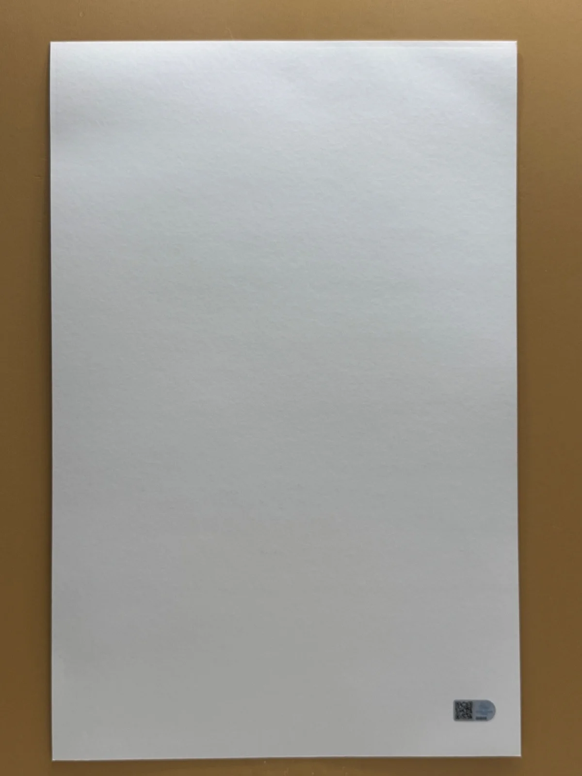 5 actors — SIGNED THE NOTEBOOK 11x17 Movie Poster COA by 2 of the actors - Ships FREE, изображение 2