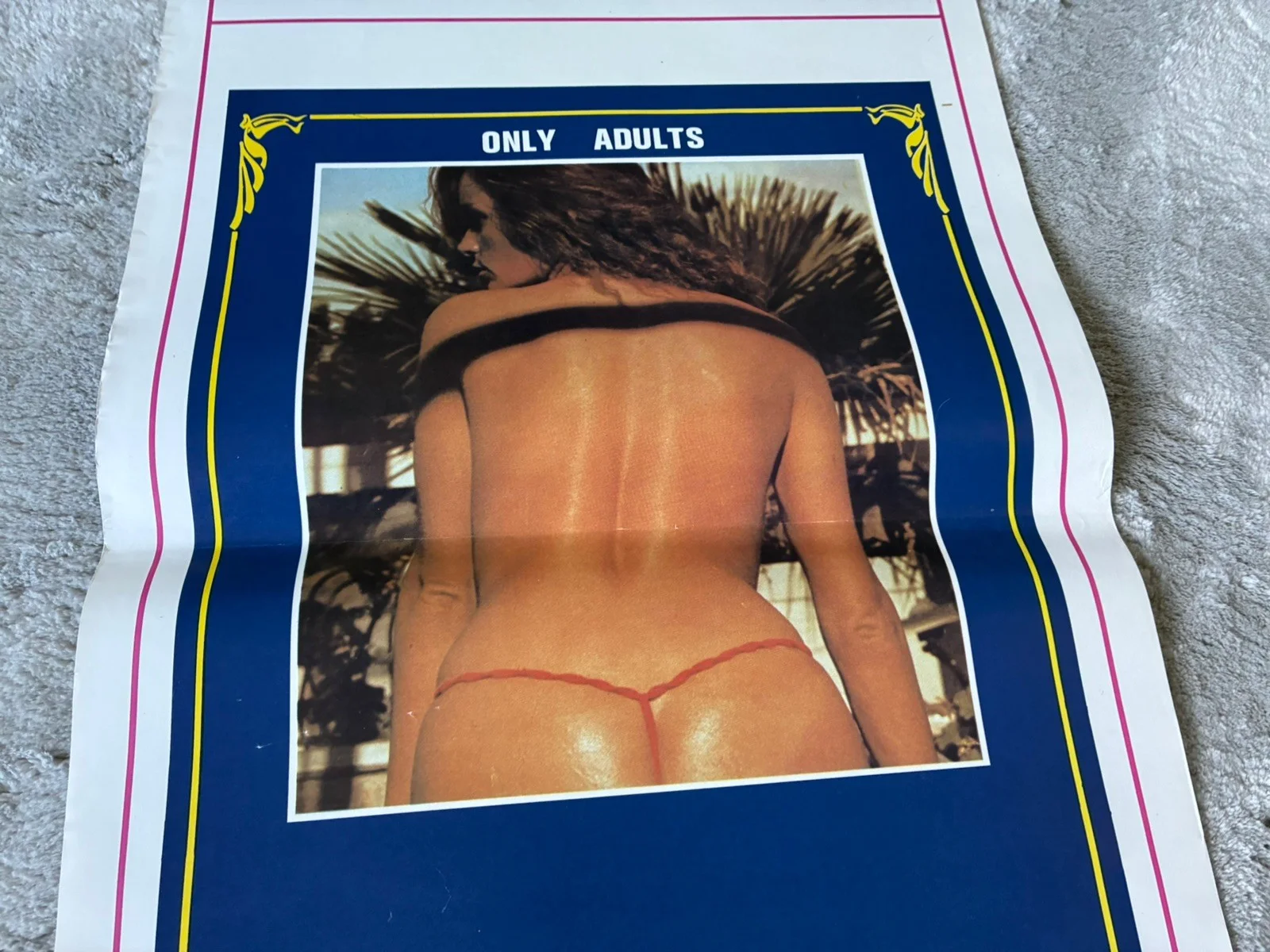 Original Vintage Italian Adult Film Poster - pleasures perverse & lescious, изображение 3