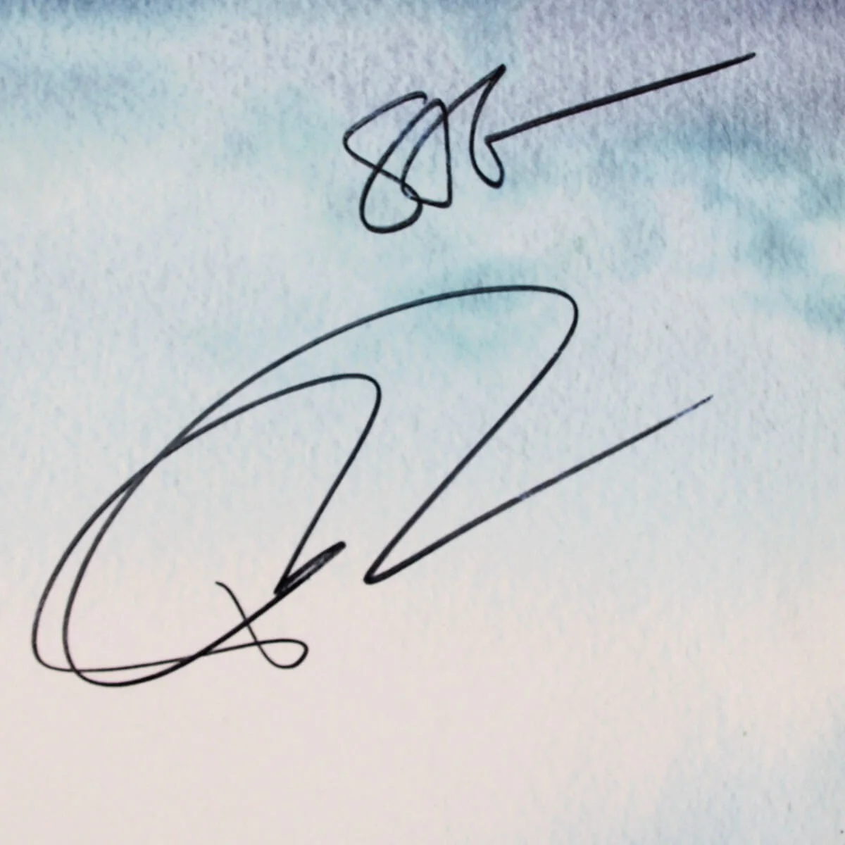 The Black Crowes Band Signed Record Album (6) Incl. Chris Robinson Before the..., изображение 2