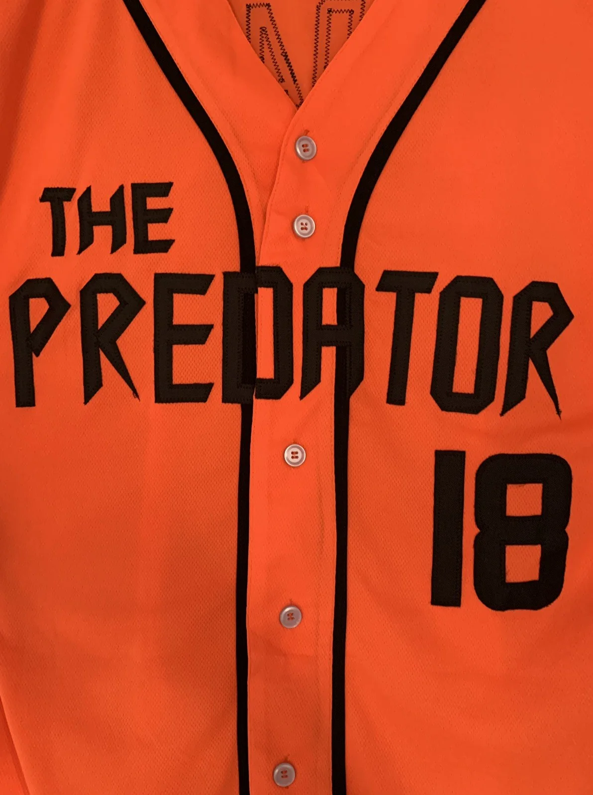 Brian Prince Jr — Brian Prince Jr Signed Autographed The Predator Jersey Orange JSA Authenticated., image 5