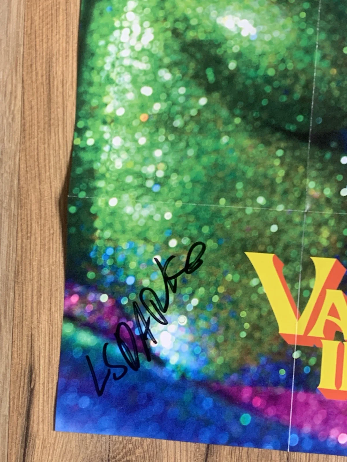Flatbush Zombies Vacation In Hell Signed Poster, image 2