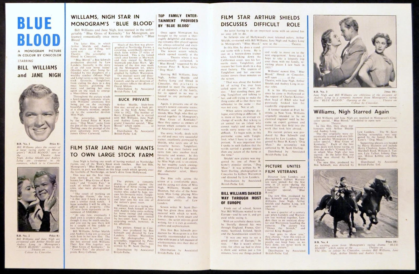 BLUE BLOOD 1951 Bill Williams, Jane Nigh, Arthur Shields UK CAMPAIGN BOOK, image 2