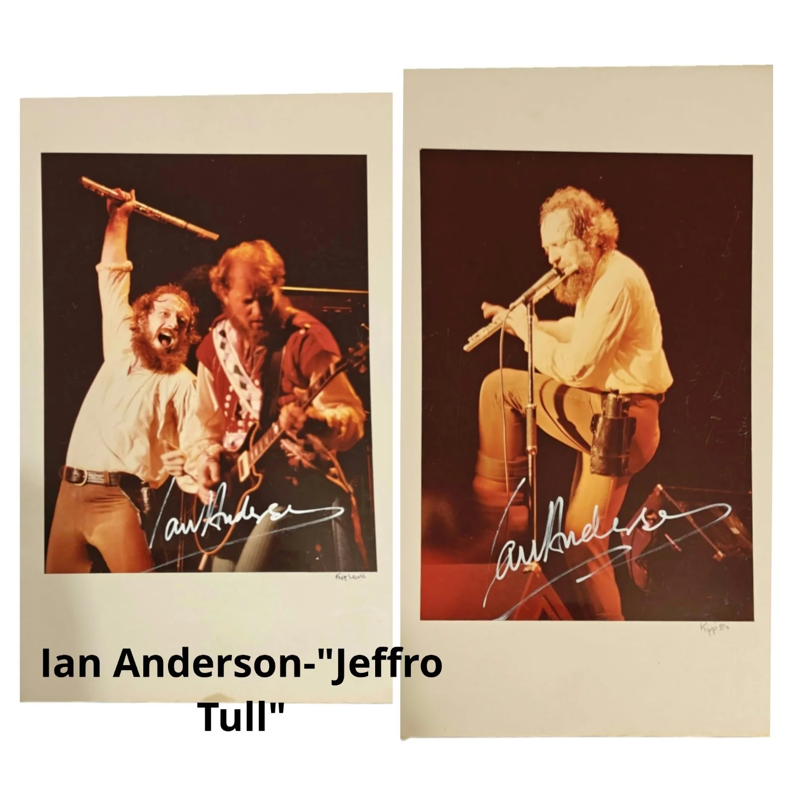 1080s Signed Band Pictures(10 Pictures, Jethro Tull, The Cars, Blue Oyster Cult), изображение 5