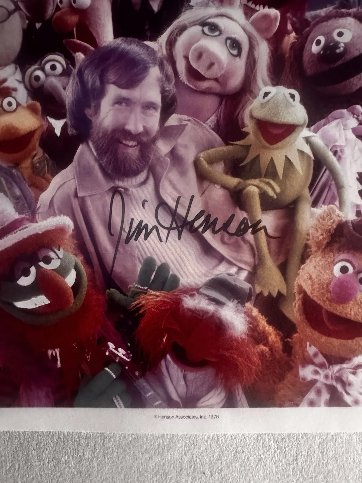 Jim Hensen Signed 8x10 Photo Muppets, изображение 2