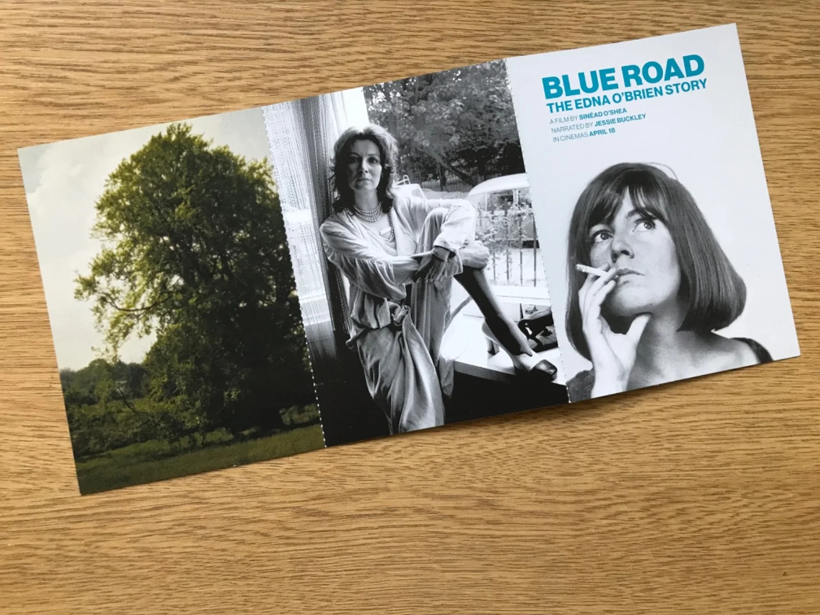 New BLUE ROAD: THE EDNA O’BRIEN STORY (2024 Movie) PROMO BOOKMARK & POSTCARD SET, изображение 5