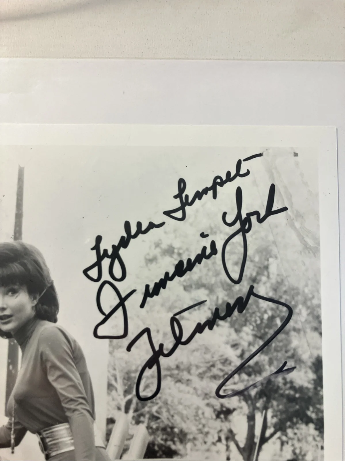 Francine York — Francine York Original Signed 8" x 10" B/w Photo Picture Beckett Authenticated, image 2