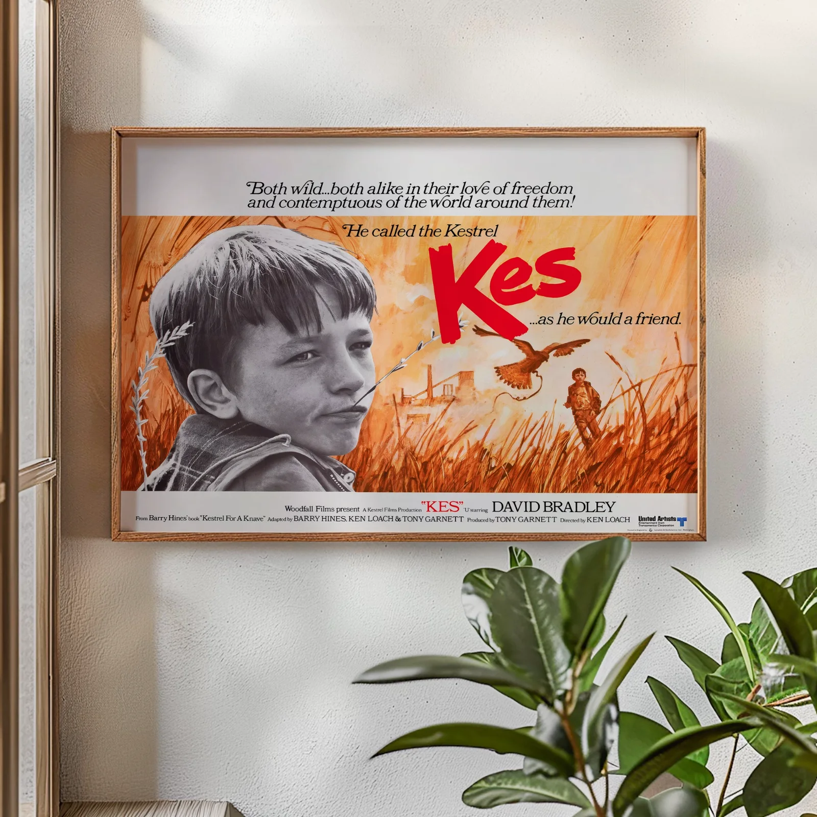 Kes - 1969 Childhood Drama Film Restored 30" x 40" UK Quad Poster, изображение 2