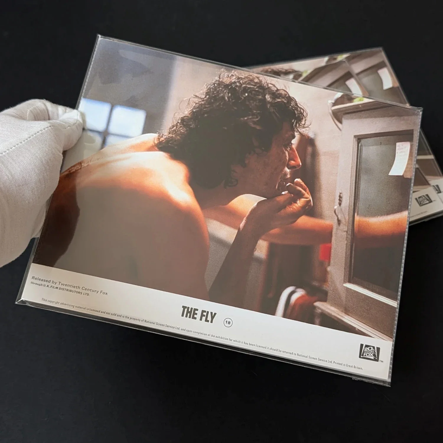 The FLY (1986) Vintage British Front of House Cinema Card ft. Jeff Goldblum 10x8, изображение 2