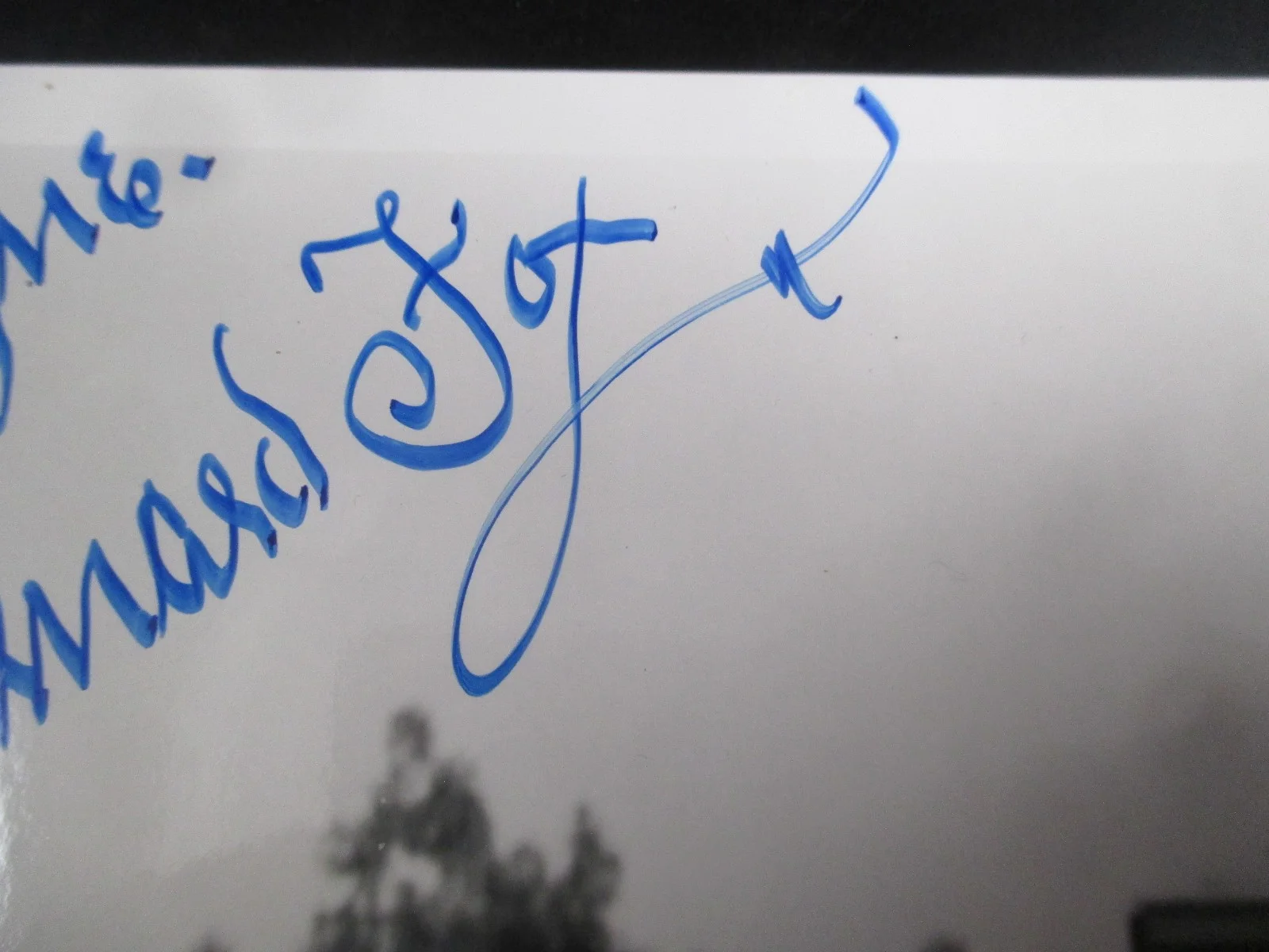 HOGANS HEROS - BERNARD FOX - Signed Original 8x10 Photo Col CRITTENDON Unique, изображение 2