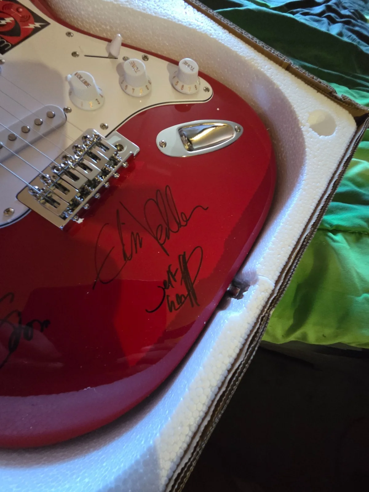 PEARL JAM signed ELECTRIC guitar EDDIE VEDDER~JEFF AMENT~CAMERON~STONE GOSSARD+1, изображение 5