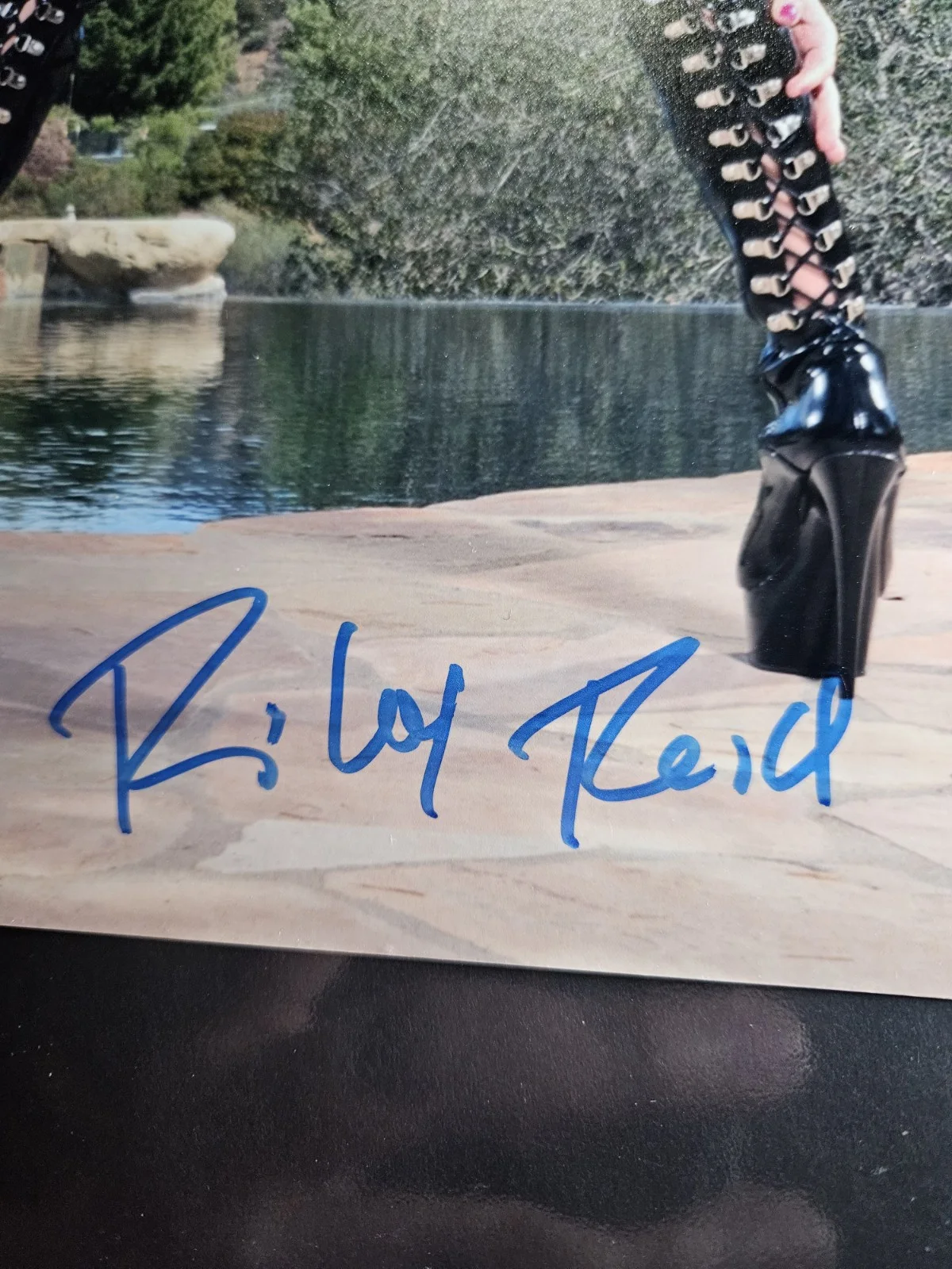 Riley Reid — Riley Reid Signed 8x10 Photo Adult Star Autographed JSA COA, изображение 3