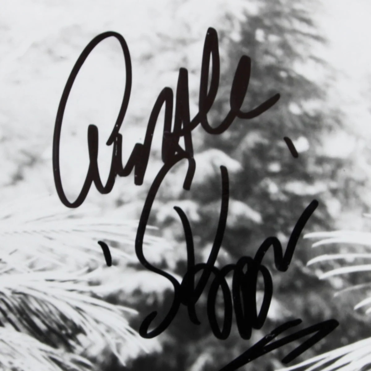 Gilligan's Island Cast Signed Photo 8x10 - COA JSA, image 3