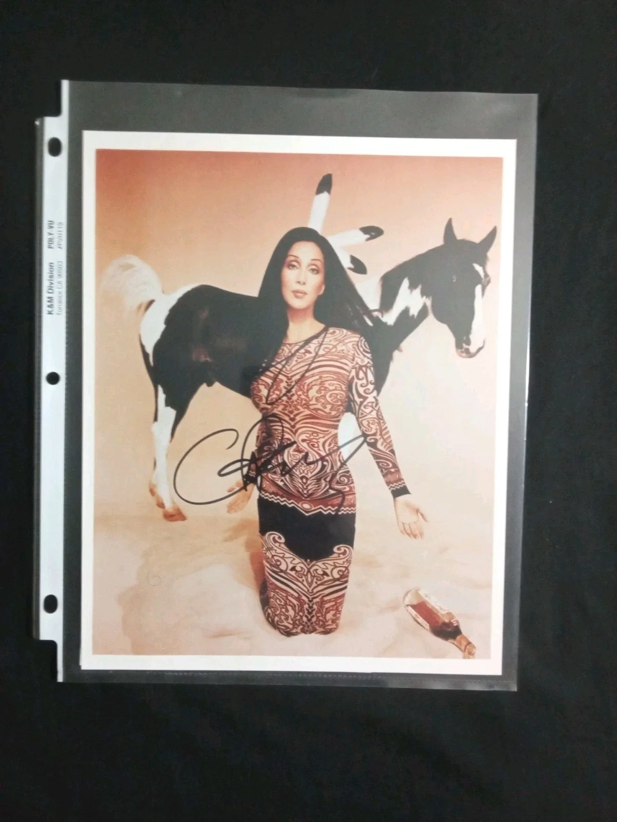 CHER autograph ACOA signed 8x10 photography — CHER autograph ACOA signed 8x10 photography, image 2