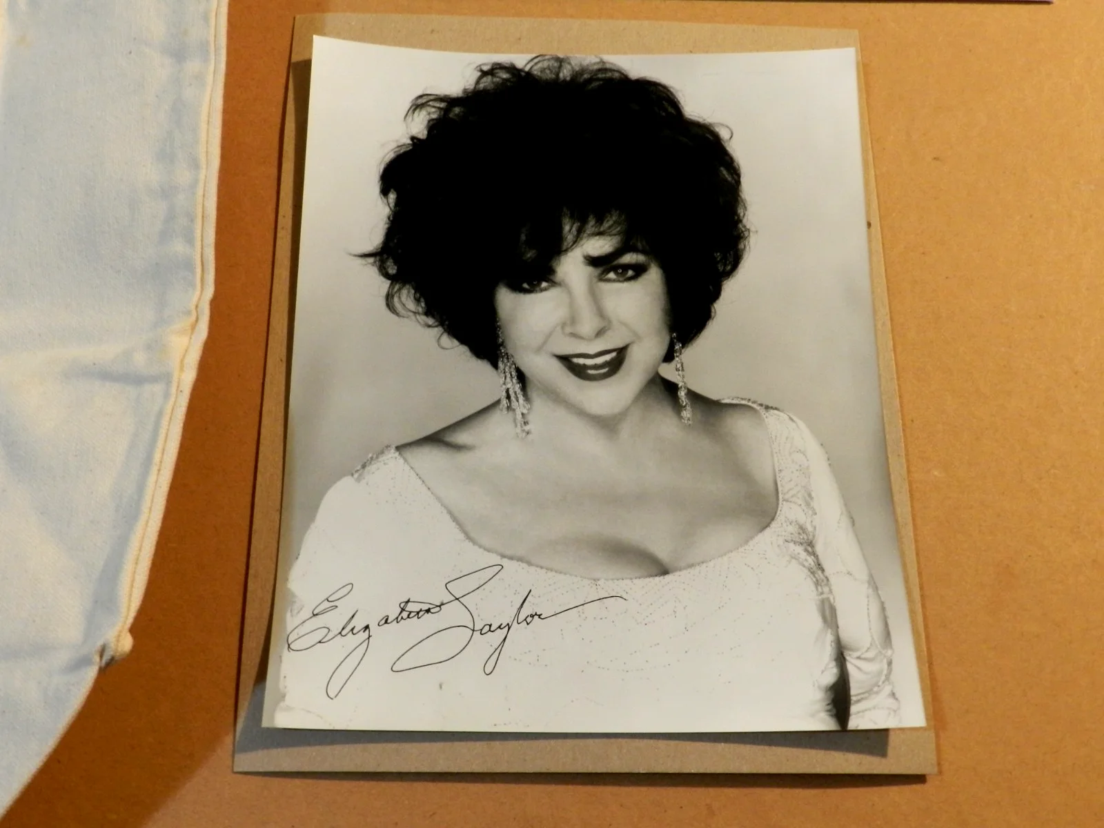 Elizabeth Taylor Signed Photo/ Tote Bag artwork by Michael Vollbracht, image 3