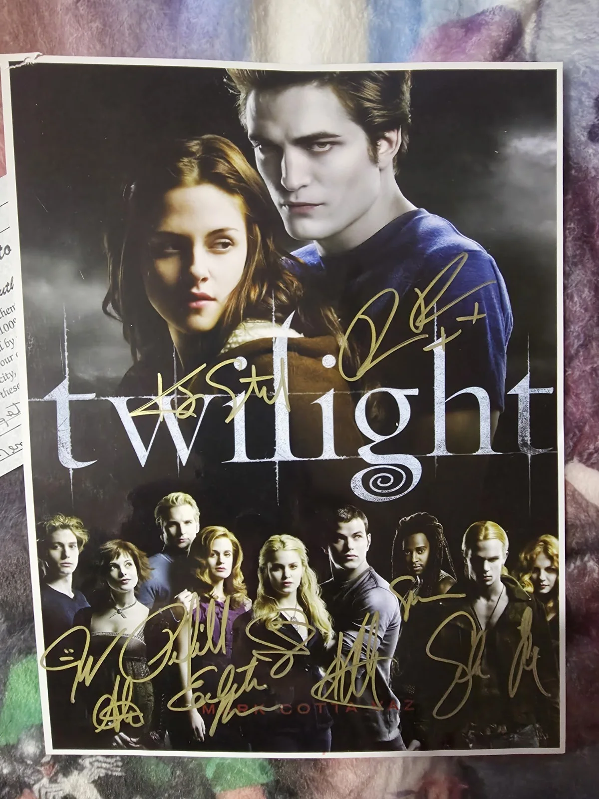 autographed twilight original photo signed by cast with river cities COA, image 2