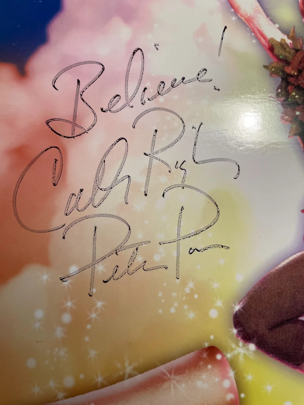 Cathy Rigby — PETER PAN Poster Signed CATHY RIGBY Windowcard 22” x 14”La Mirada Theatre 2012, изображение 2