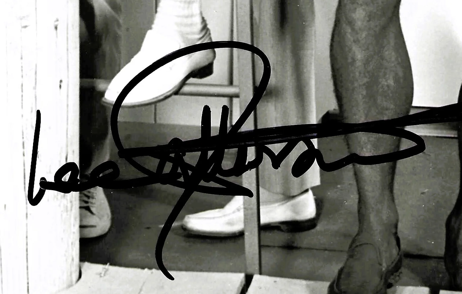 Van Williams, Lee Patterson, Troy Donahue — Surfside Six VAN WILLIAMS, TROY DONAHUE, & LEE PATTERSON signed 8x10 COA . .RARE, изображение 4