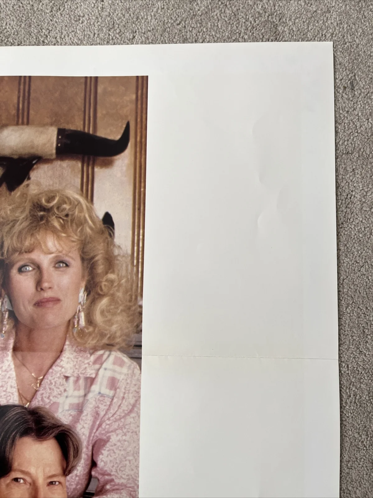 Daddy's Dyin' (1990) Original US One Sheet Movie Poster, изображение 4