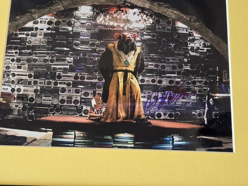 Danny Woodburn Signed Photo Display Framed 11x14 TMNT Splinter, image 2